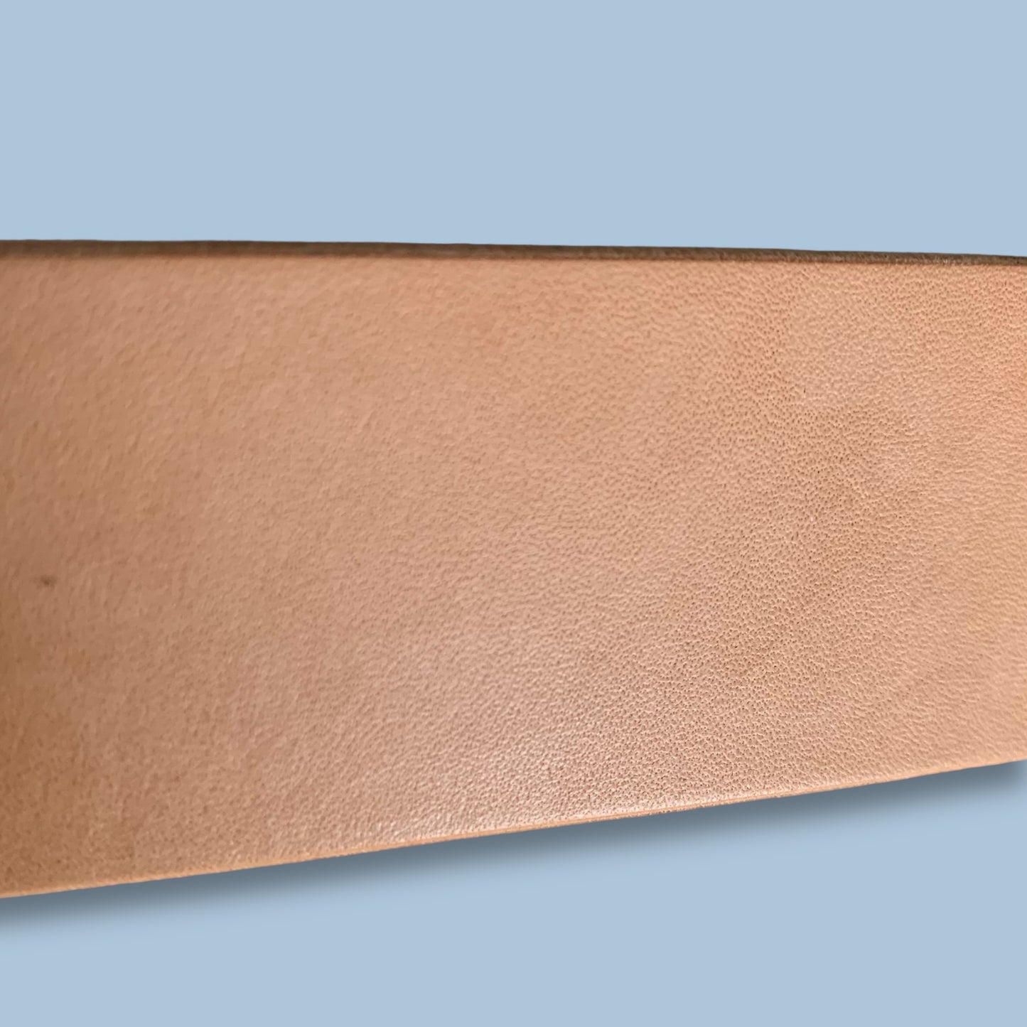 THE TYE-RANNOSAURUS | NATURAL