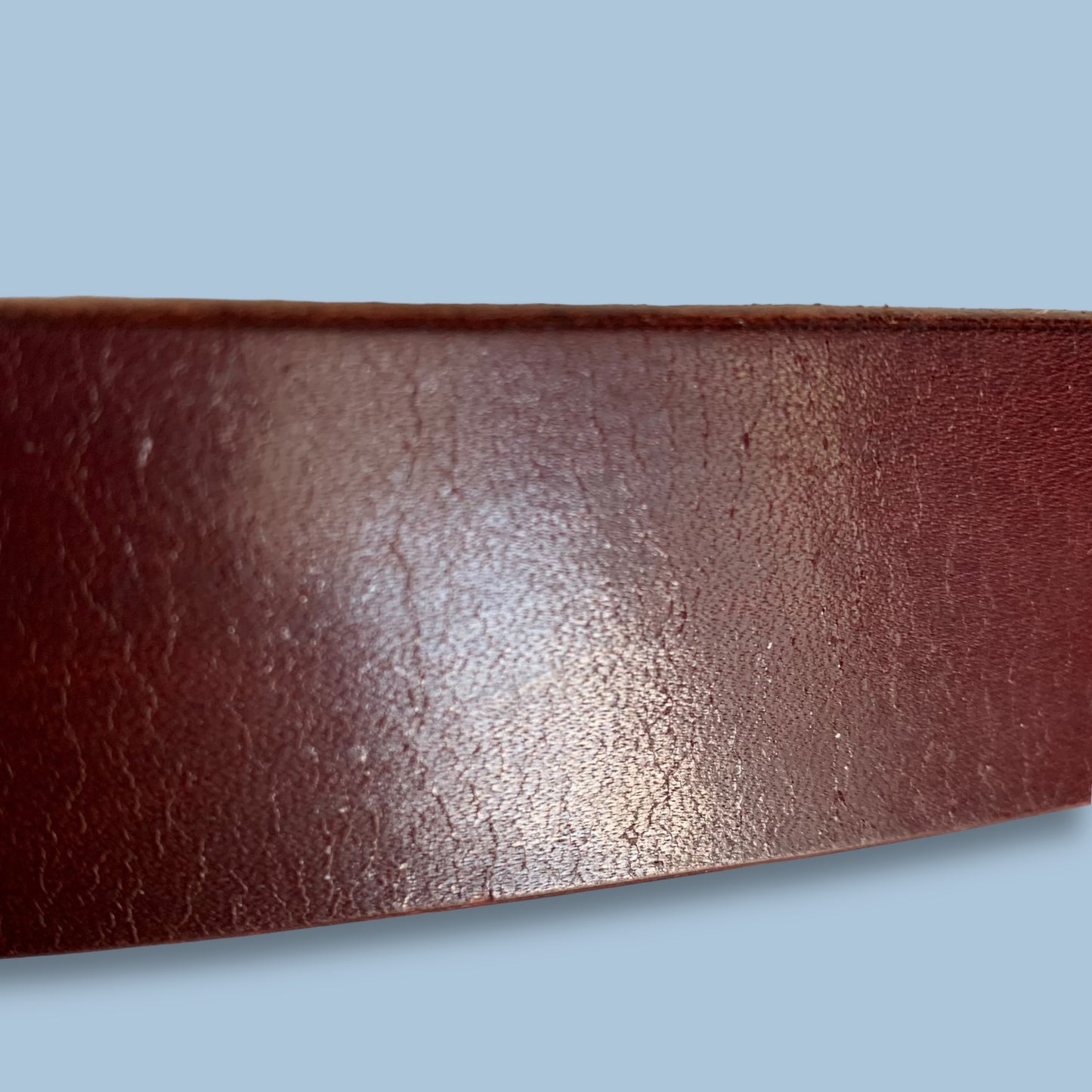 THE TYE-RANNOSAURUS | OX BLOOD