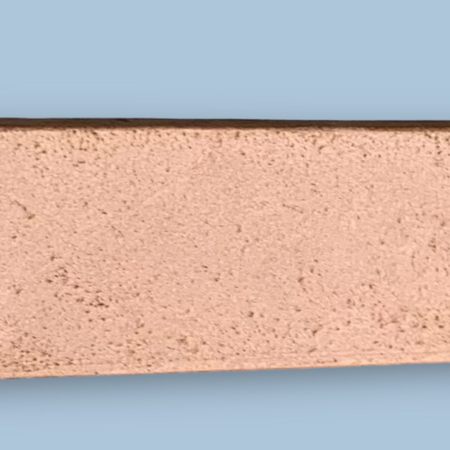 RAW FLESH (BACK) SIDE